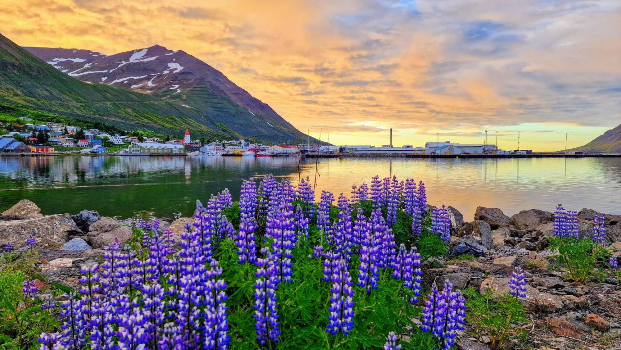 Landakot The Perfect Getaway By Staynorth Siglufjordur Екстер'єр фото